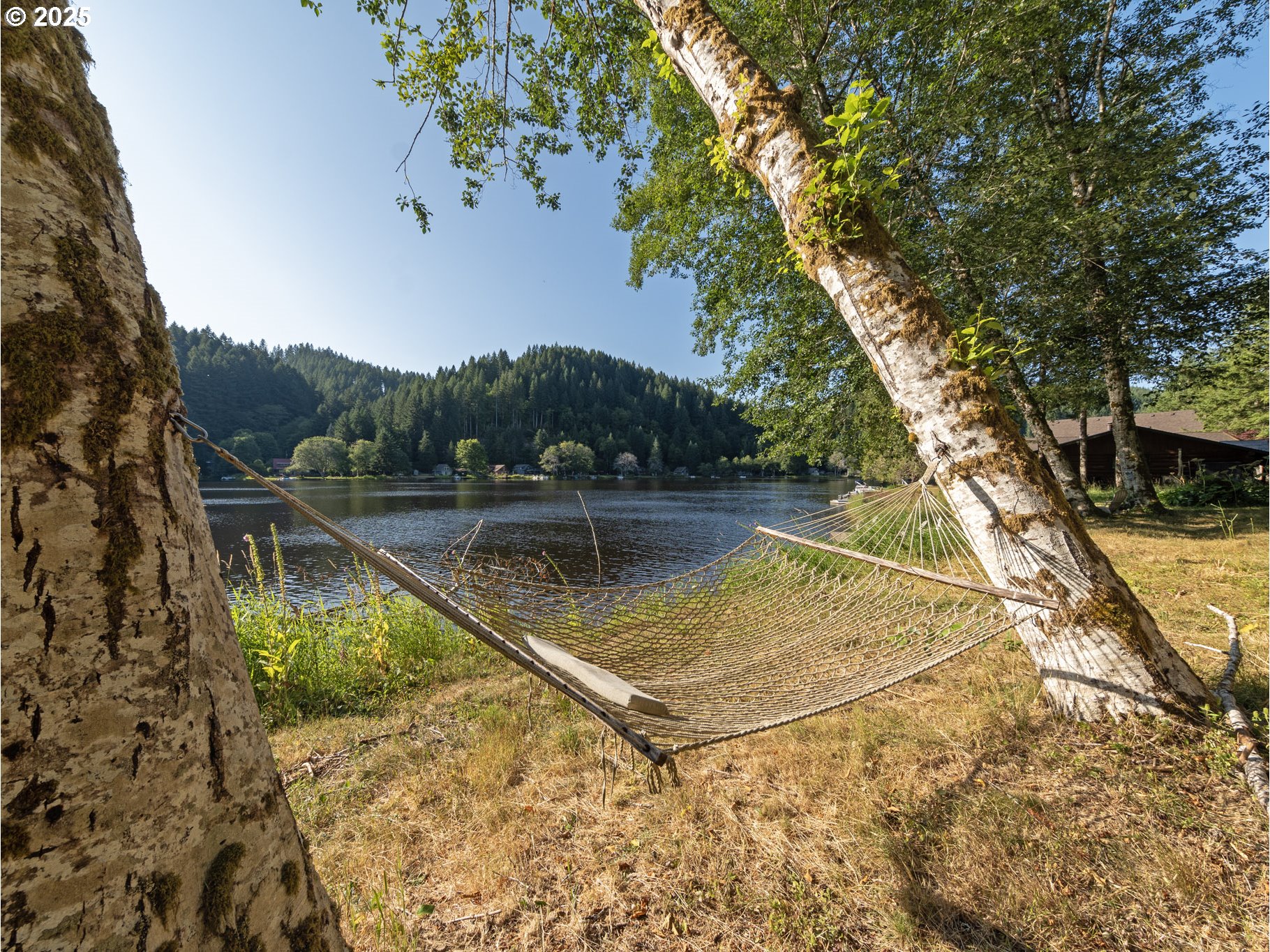 71397 Fishhawk Road Clatskanie, OR 97016 - Photo 41 of 48 a view of a swimming pool with a yard and large tree