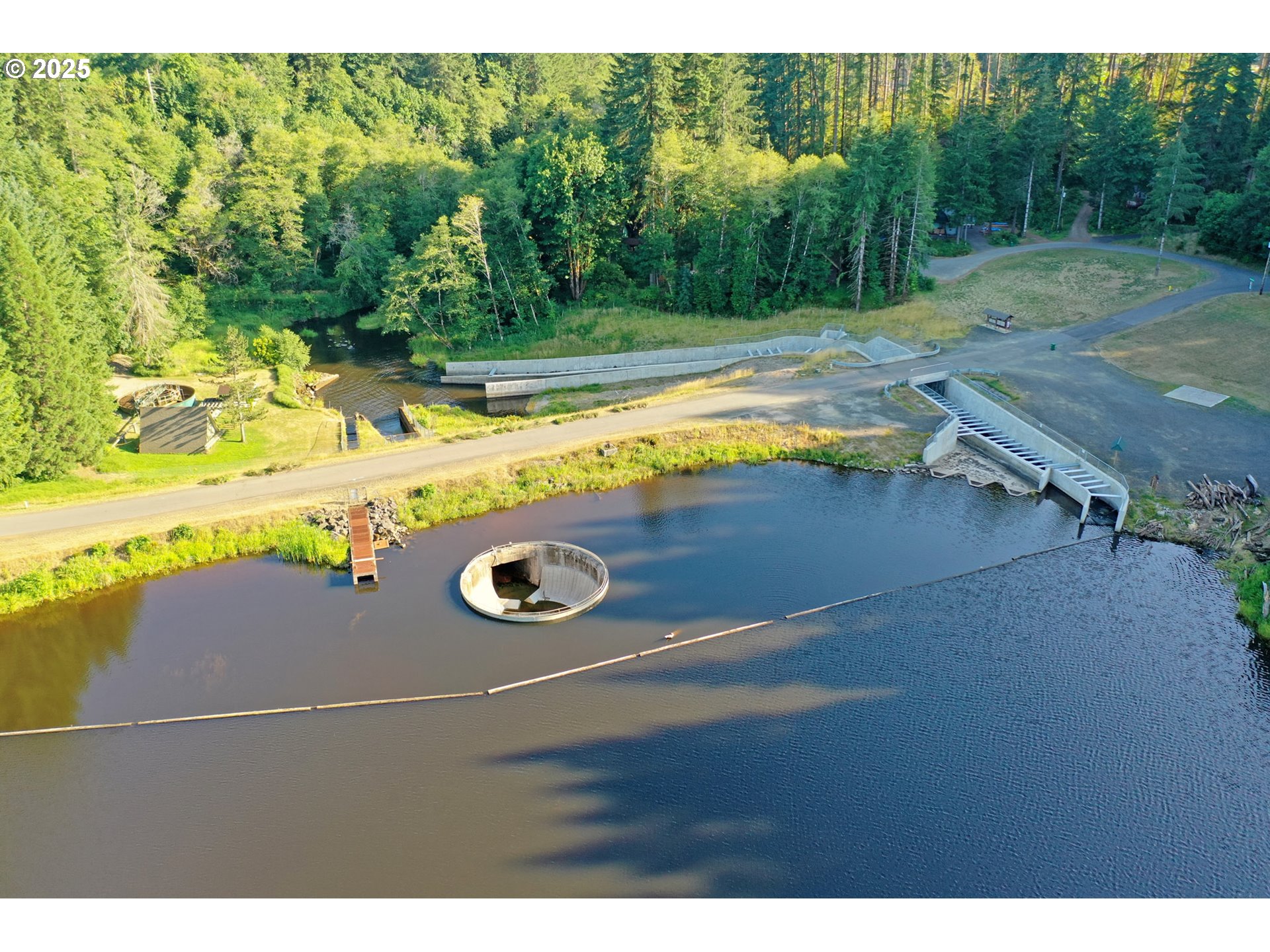 71397 Fishhawk Road Clatskanie, OR 97016 - Photo 47 of 48 a view of outdoor space yard and swimming pool