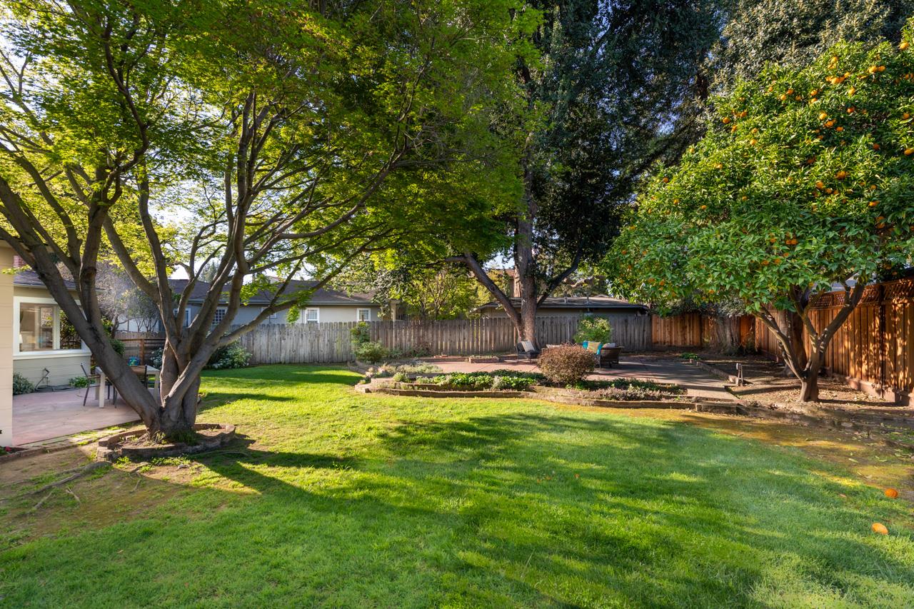 8 Oak Court Sunnyvale, CA 94086 - Photo 30 of 30 a view of a swimming pool with lawn chairs and plants