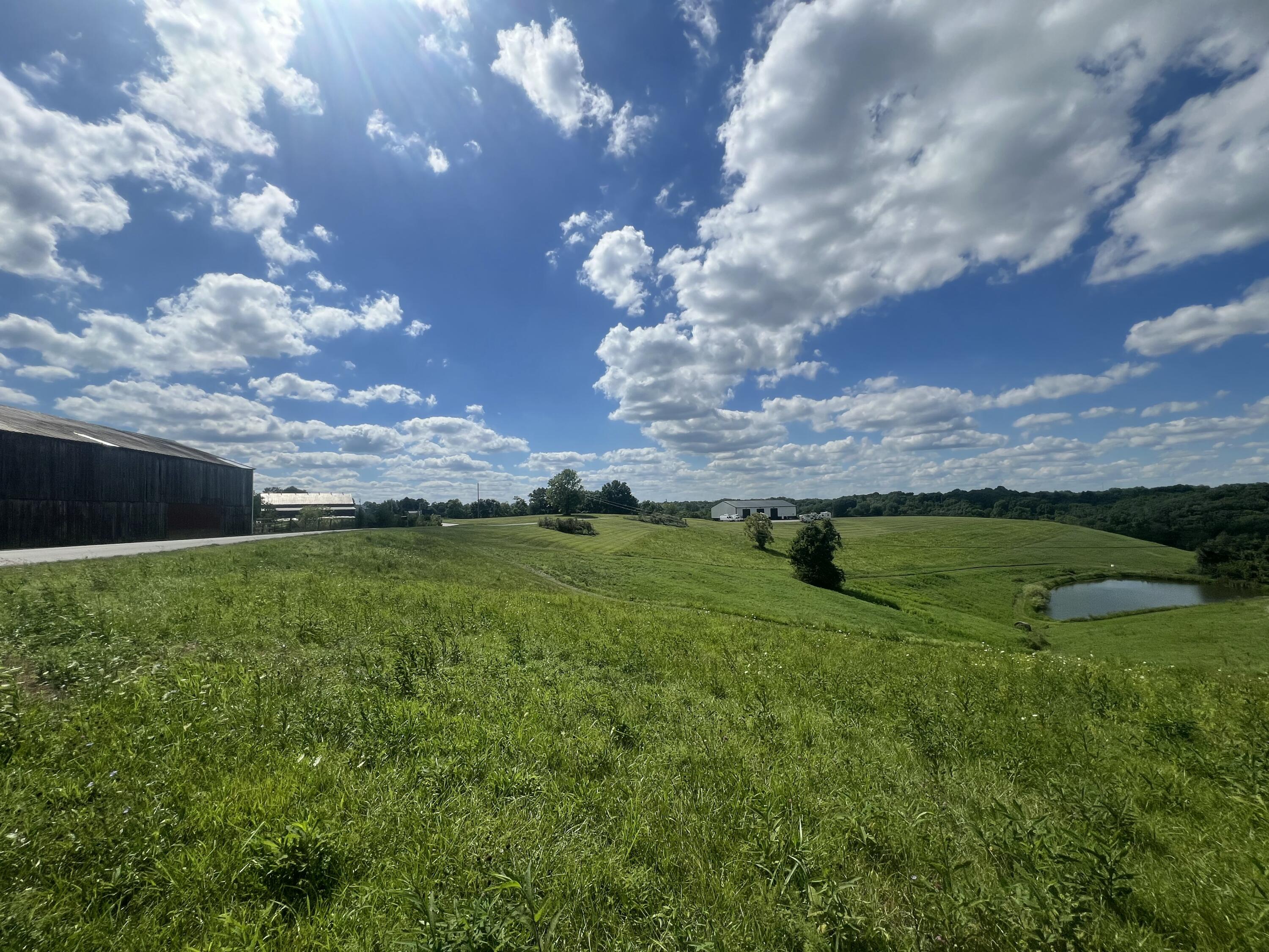 655 Humes Ridge Road Williamstown, KY 41097 - Photo 8 of 37 Gallery Image 8