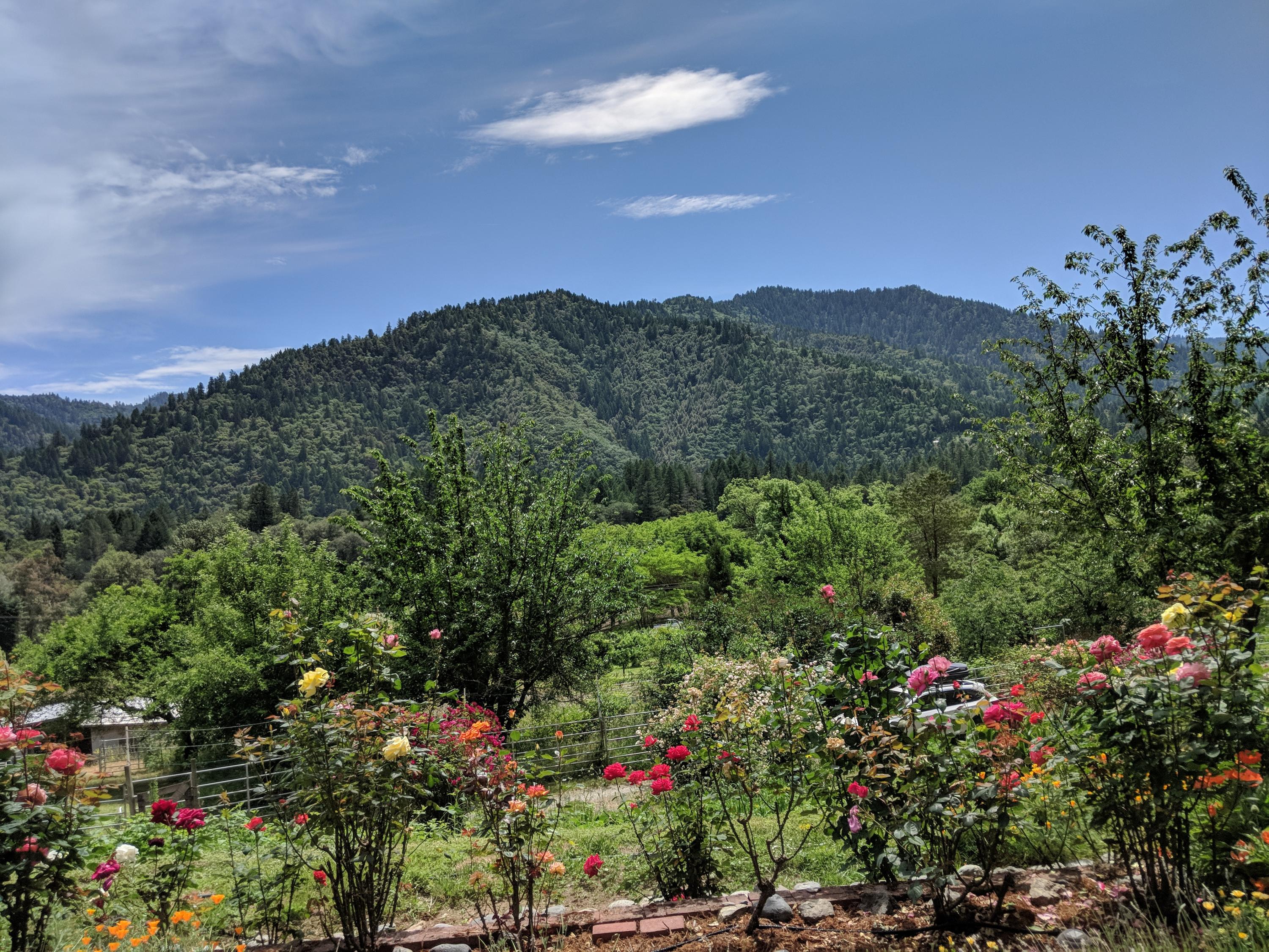 2900 Highway 96 Willow Creek, CA 95573 - Photo 49 of 51