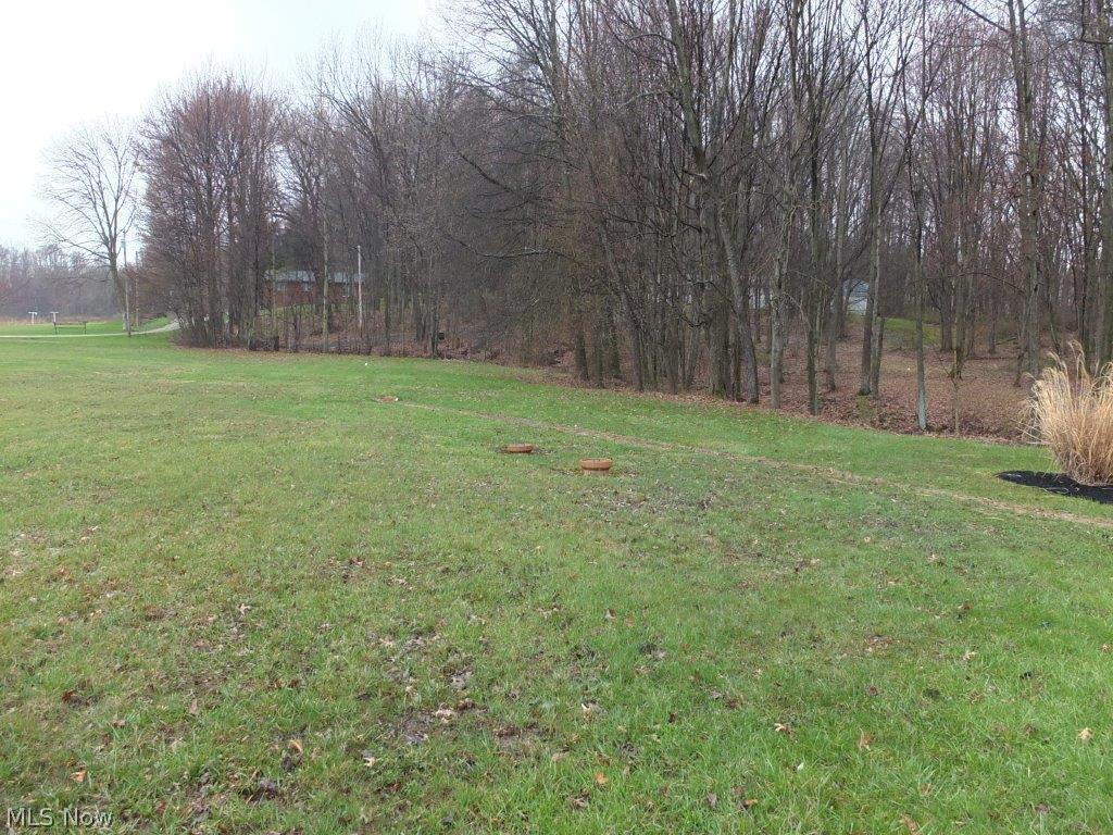 5312 Camp Road Ravenna, OH 44266 - Photo 20 of 22 Backyard and acreage