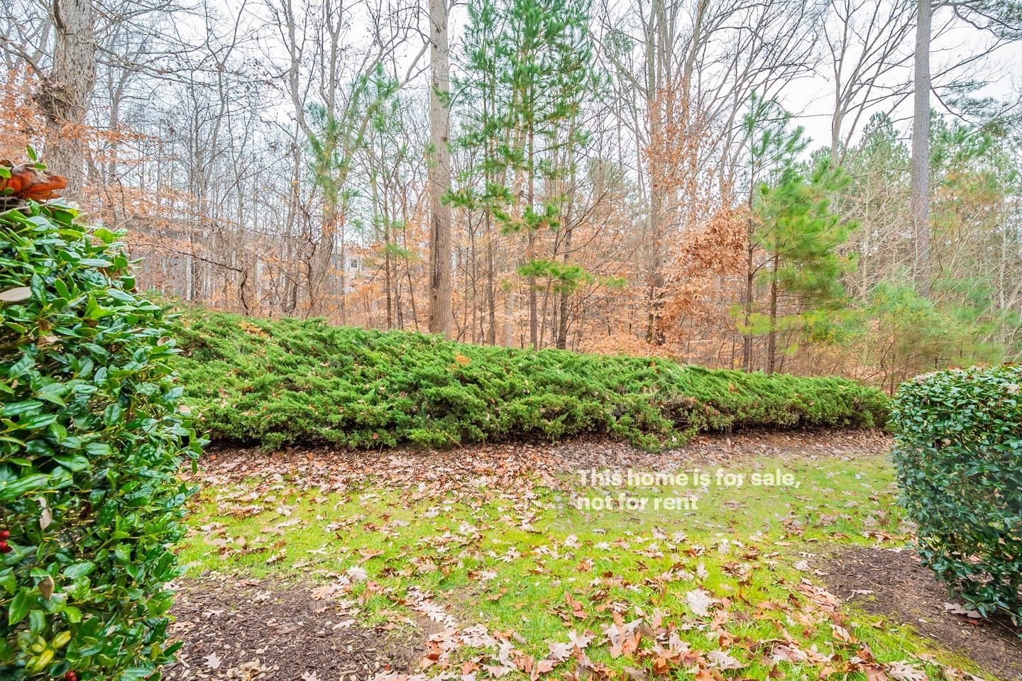 4867 Sir Duncan Way Raleigh, NC 27612 - Photo 18 of 19 Photo 18