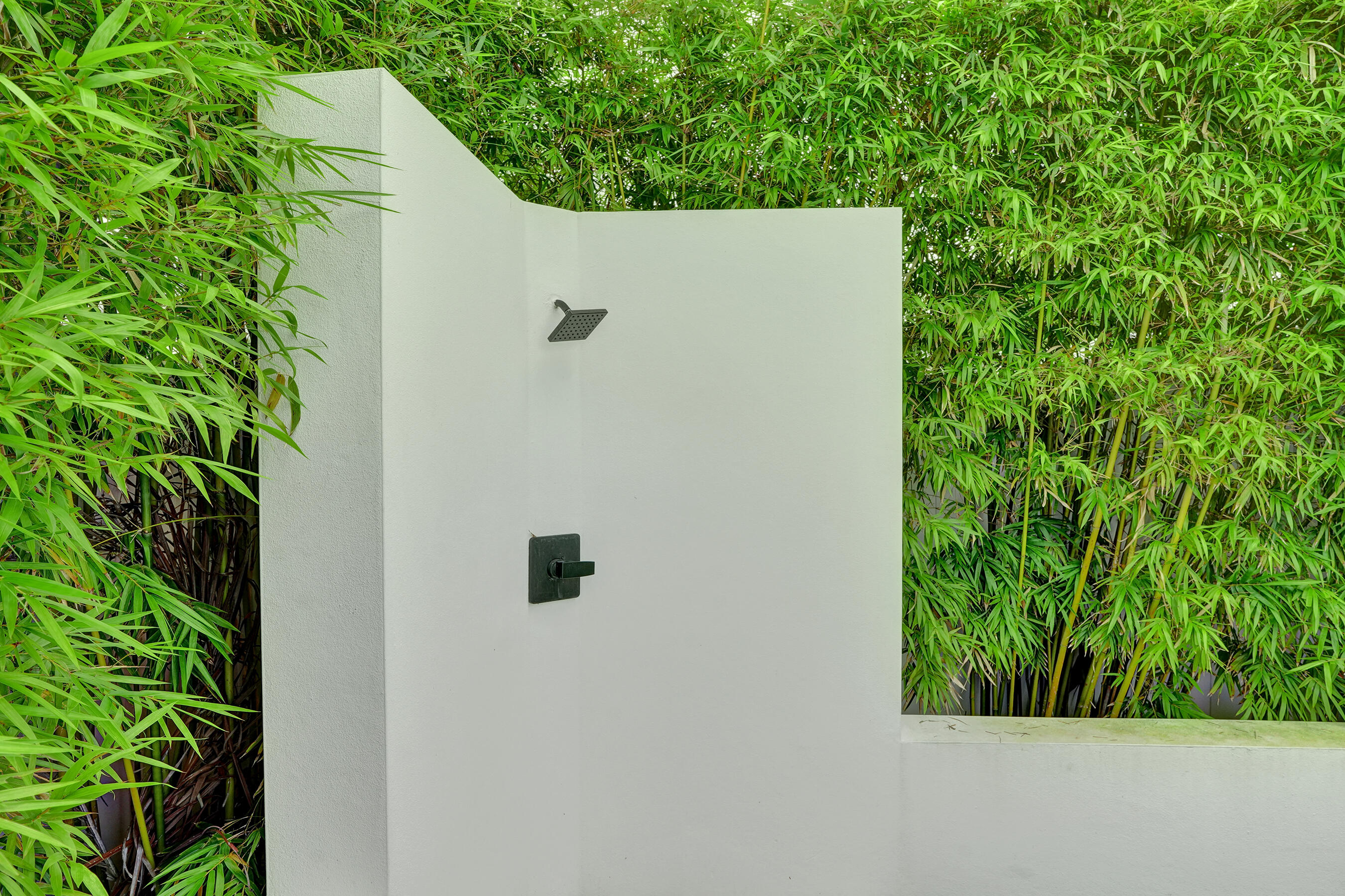 915 North Swinton Avenue Delray Beach, FL 33444 - Photo 20 of 23 a backyard with a plant