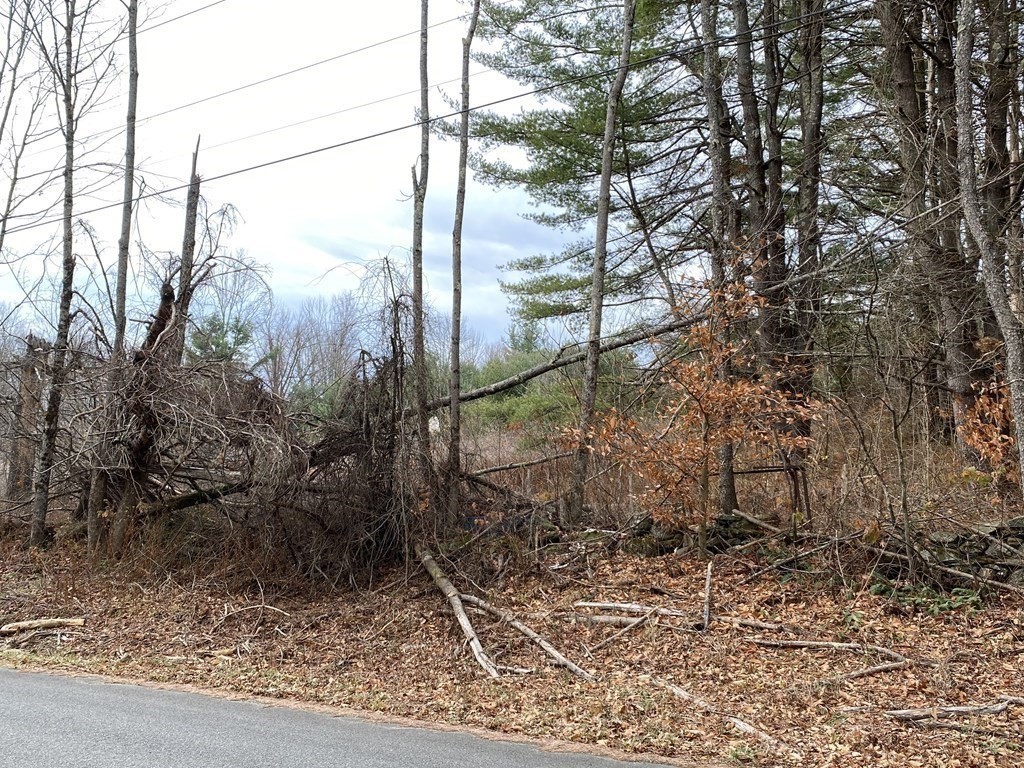 44 Wilson Hill Road Colrain, MA 01340 - Photo 2 of 9