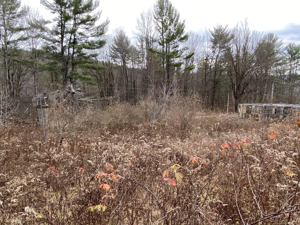 44 Wilson Hill Road Colrain, MA 01340 - Photo 5 of 9
