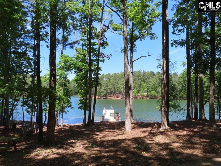 201 State Rd S-20-99 Blair, SC 29015 - Photo 18 of 61