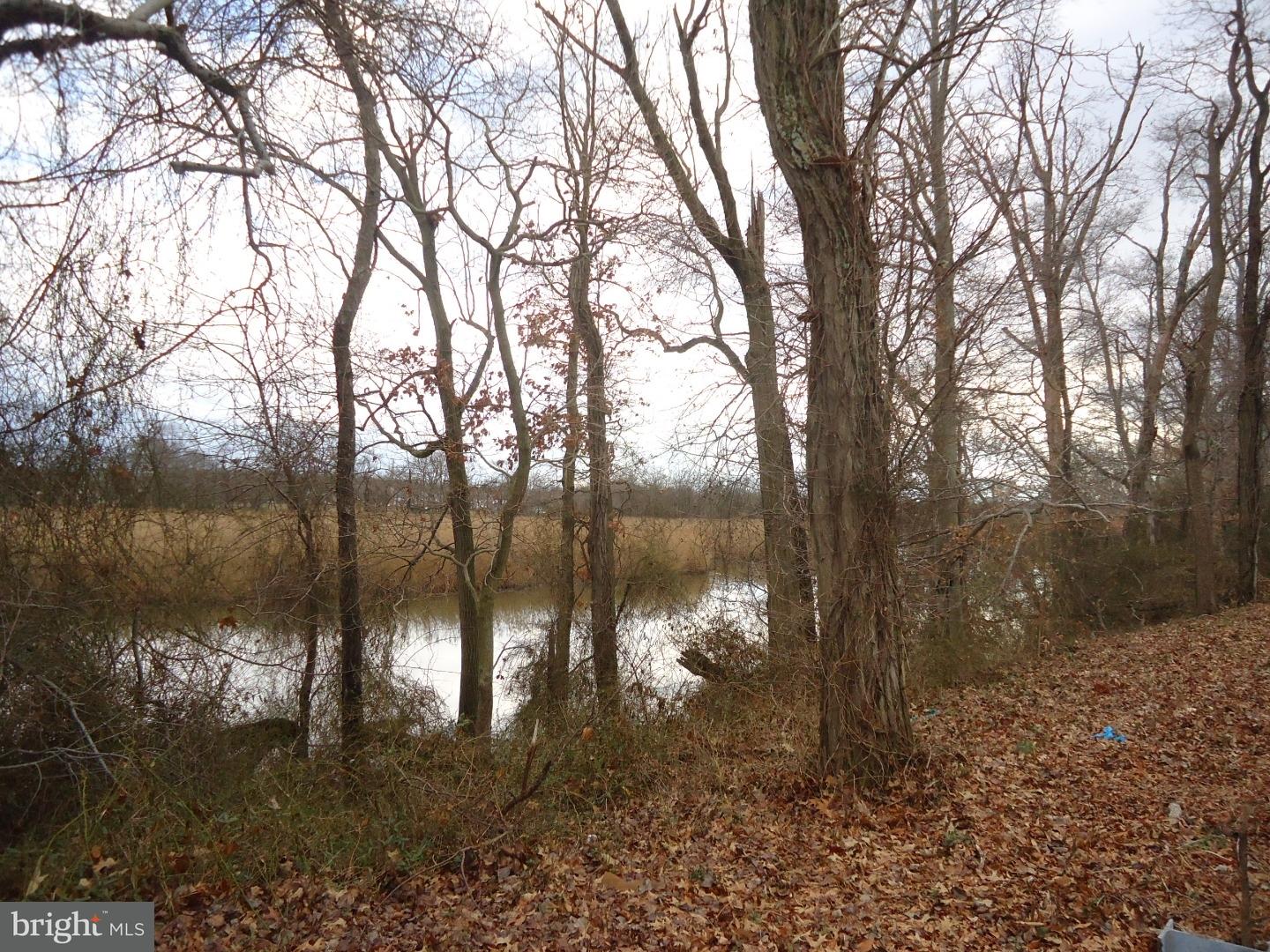 21 Acton Station Road Quinton, NJ 08079 - Photo 18 of 19