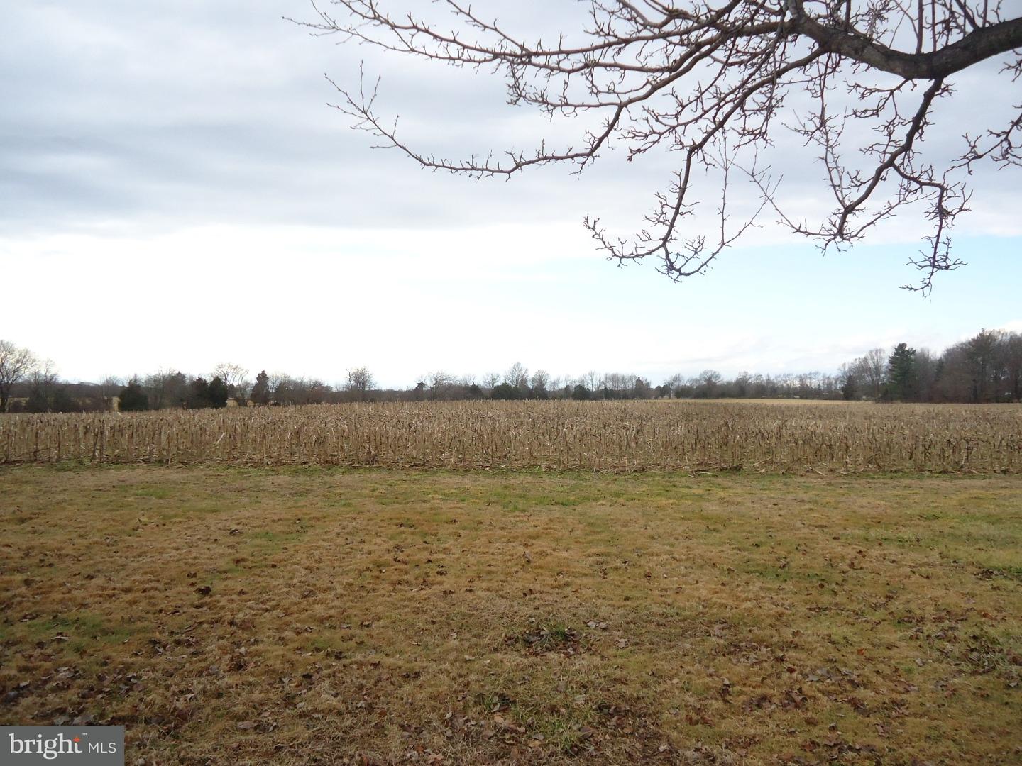 21 Acton Station Road Quinton, NJ 08079 - Photo 19 of 19