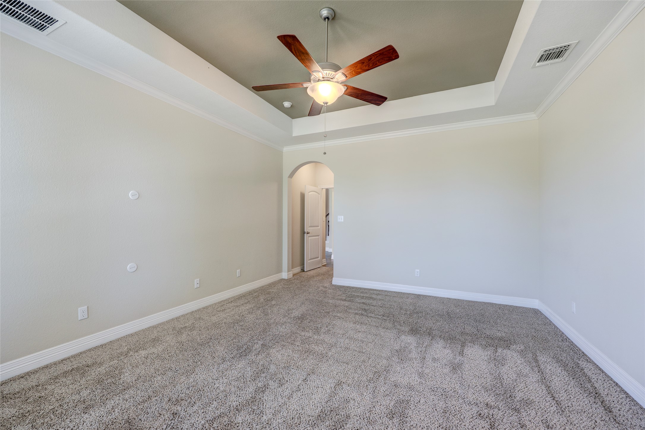 409 Betony Loop Buda, TX 78610 - Photo 18 of 38 A spacious room features a tray ceiling, recessed lighting, and soft carpet flooring.