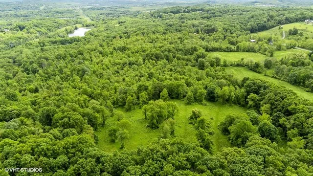 a view of a lush green field