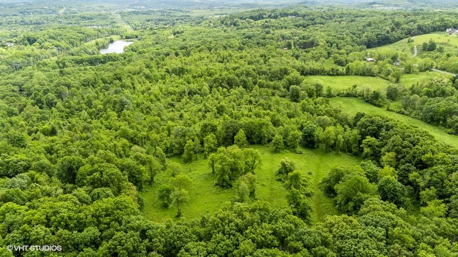 a view of a lush green field