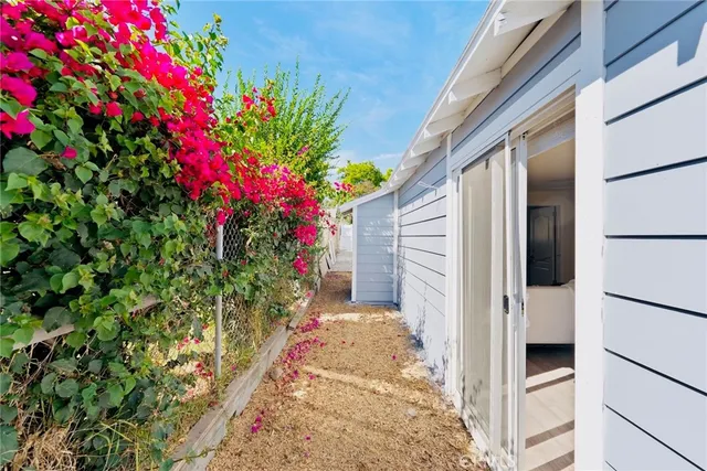 a flower plants in front of a door