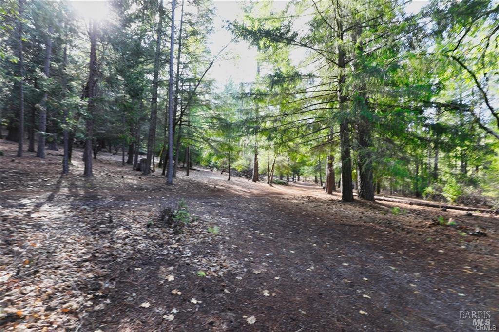 9356 Rockys Road Kelseyville, CA 95451 - Photo 23 of 24 a view of a forest with trees in the background