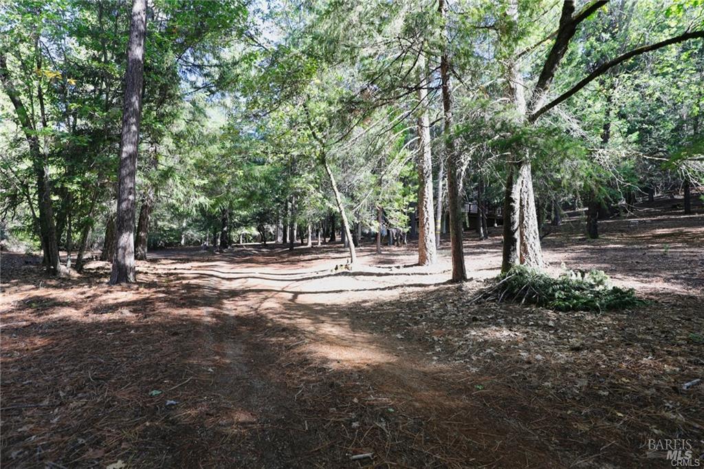 9356 Rockys Road Kelseyville, CA 95451 - Photo 24 of 24 a view of outdoor space with trees