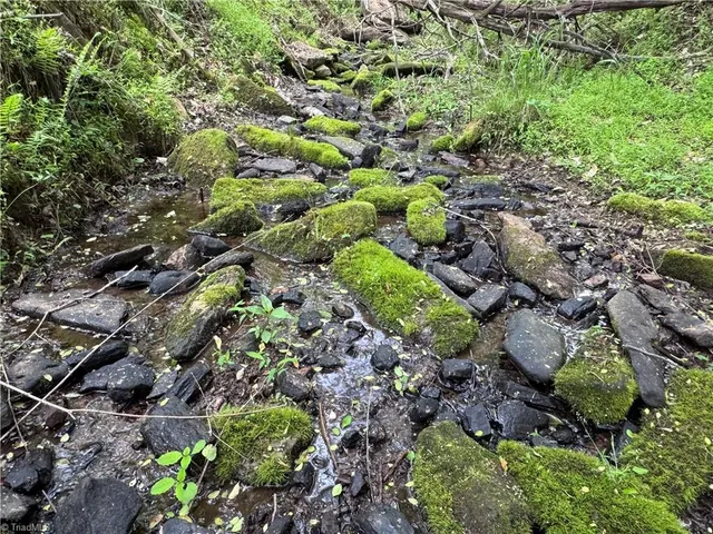 $59,500 | X Green Meadow Lane, Unit 5 AC S, Ararat, NC 27007