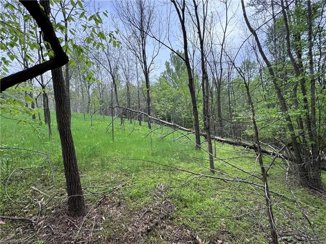 $59,500 | X Green Meadow Lane, Unit 5 AC S, Ararat, NC 27007