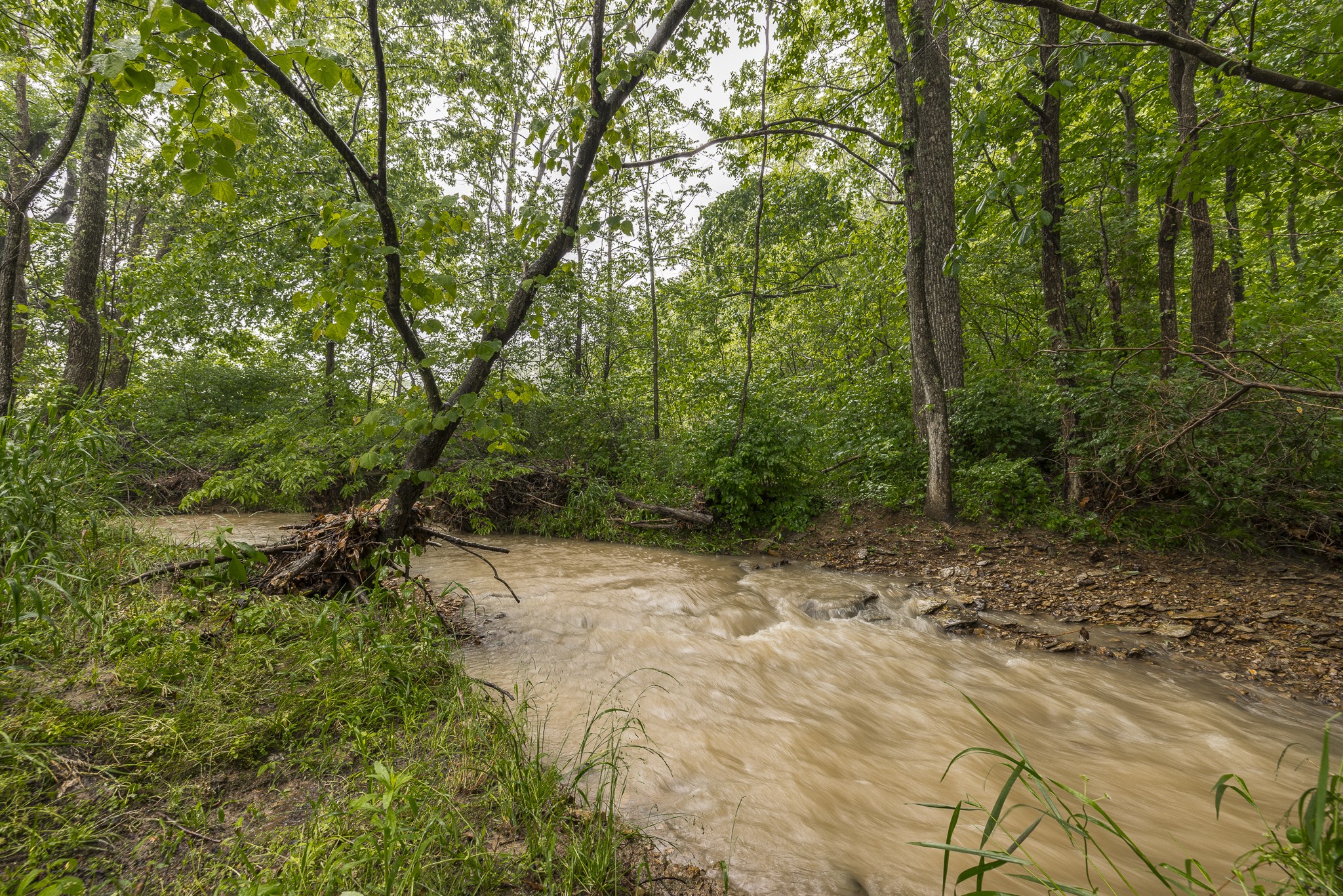 1021 Kaity Brooke Road Portland, TN 37148 - Photo 33 of 33 Gallery Image 33