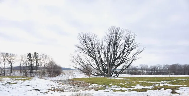 $52,500 | 362 West Orchid Court, Columbia City, IN 46725