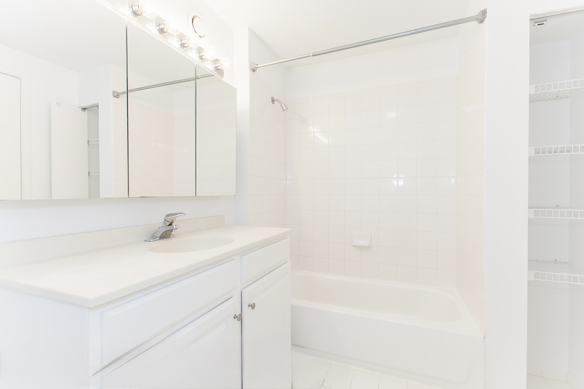 545 North Dearborn Street, Unit 902 Chicago, IL 60654 - Photo 13 of 16 a bathroom with a sink and a bathtub