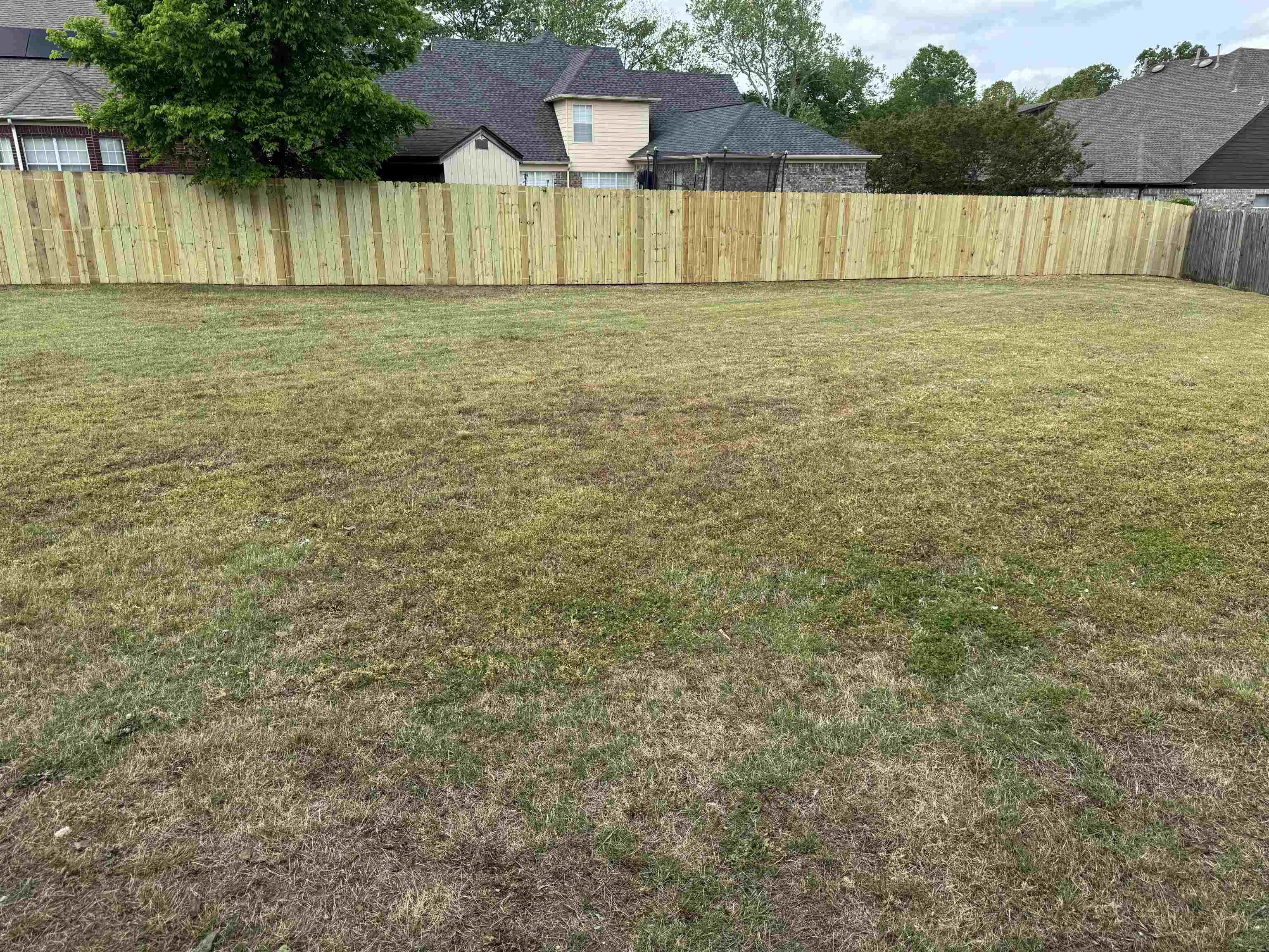 5393 Hightor Lane Memphis, TN 38125 - Photo 4 of 28 a view of a lake