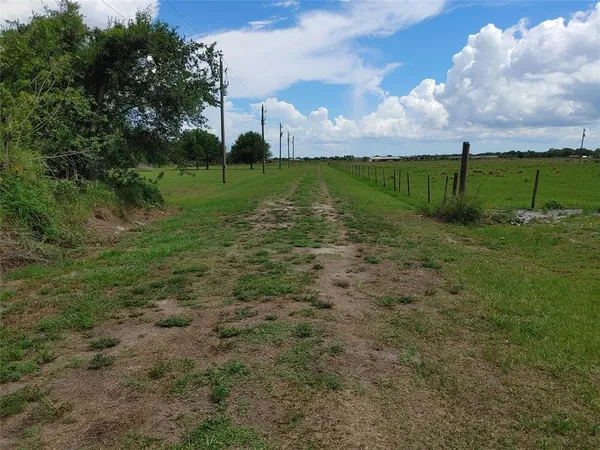 a view of a grassy field with an trees