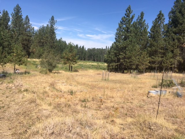 11104 North Brooks Road Spokane, WA 99224 - Photo 14 of 20