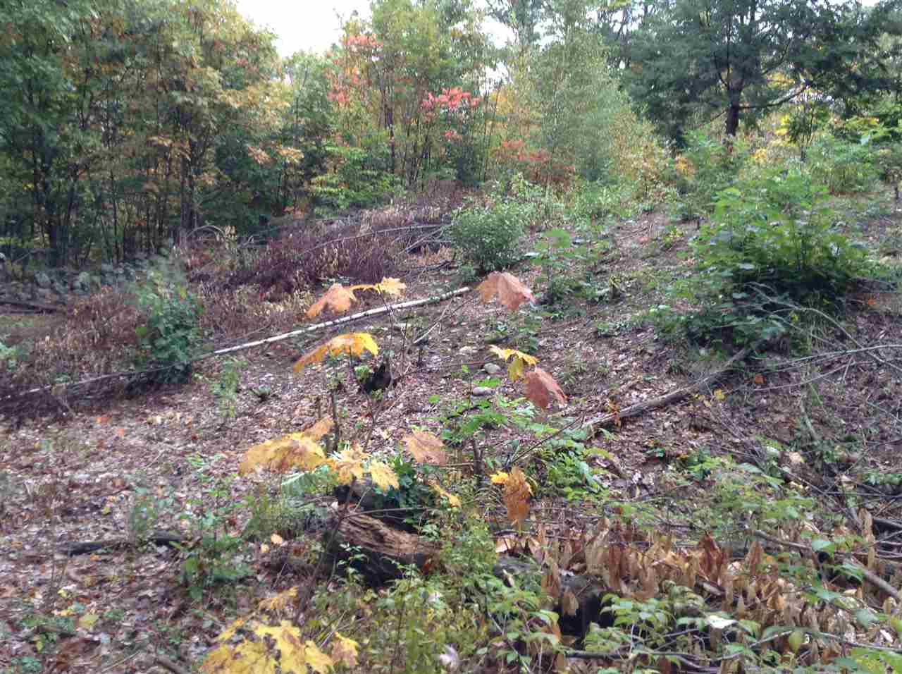 325 Chick Road Lebanon, ME 04027 - Photo 4 of 8