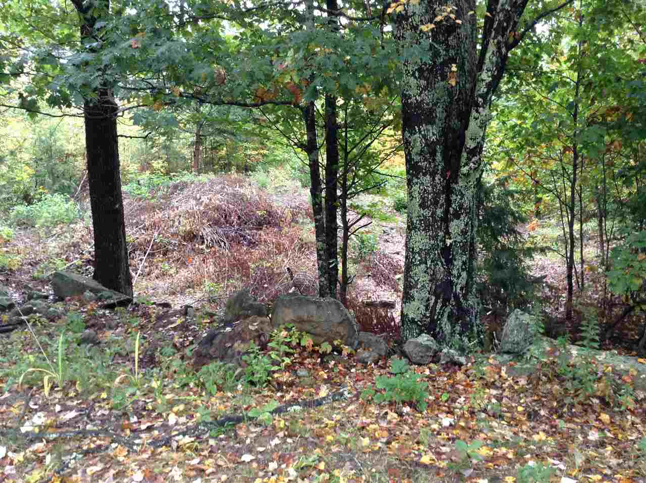 325 Chick Road Lebanon, ME 04027 - Photo 5 of 8