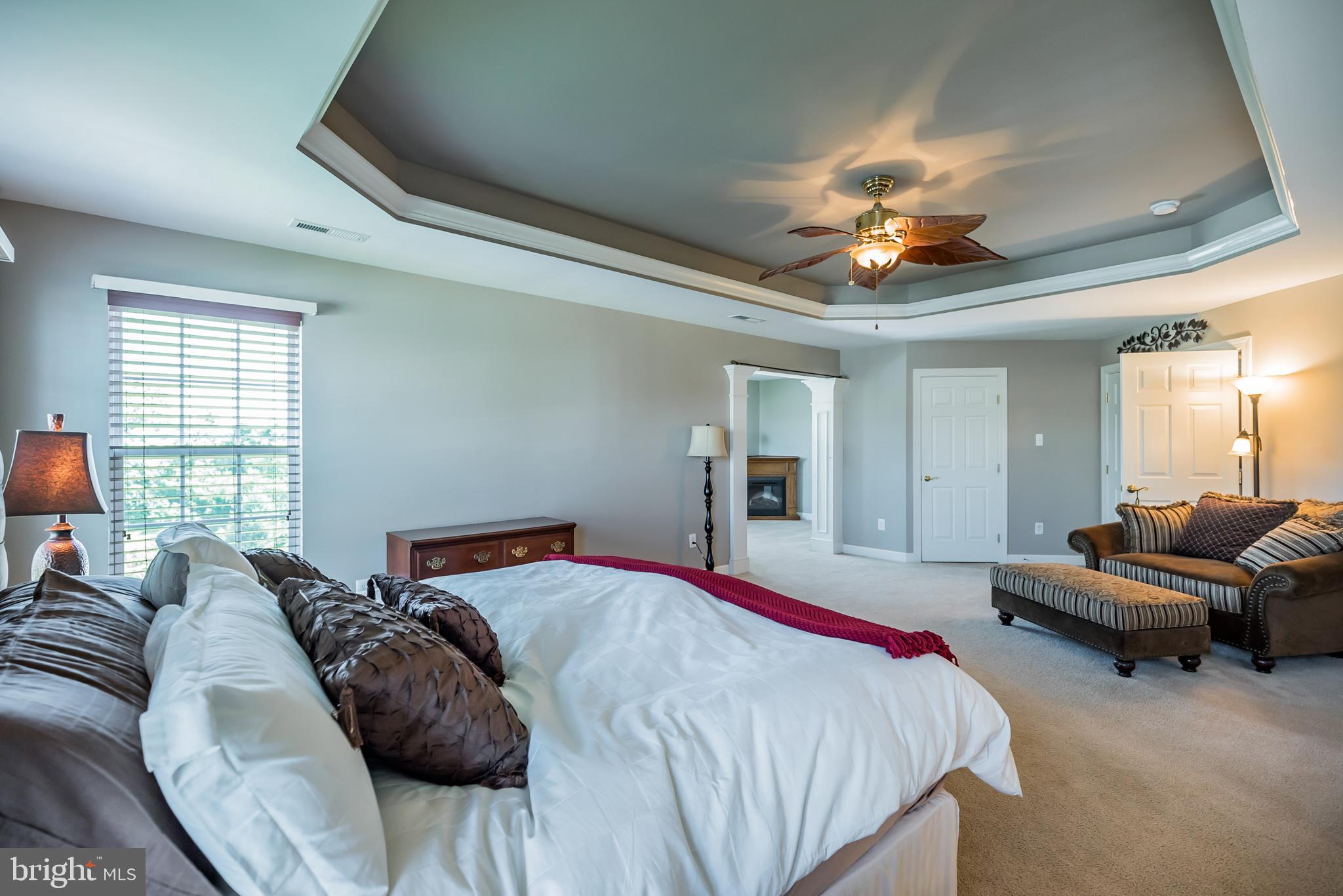 114 Quail Ridge Way Mickleton, NJ 08056 - Photo 11 of 40 Master suite with trayed ceiling