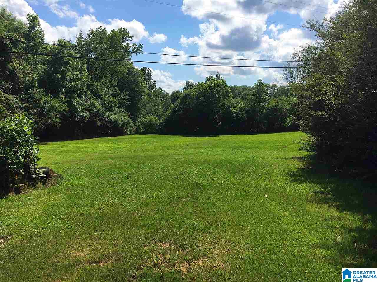 5601 Miles Spring Road Pinson, AL 35126 - Photo 4 of 11