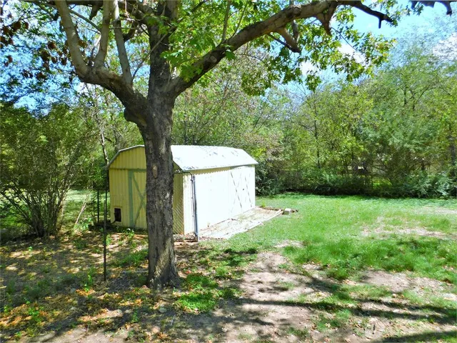 a view of a yard with plants and a large tree