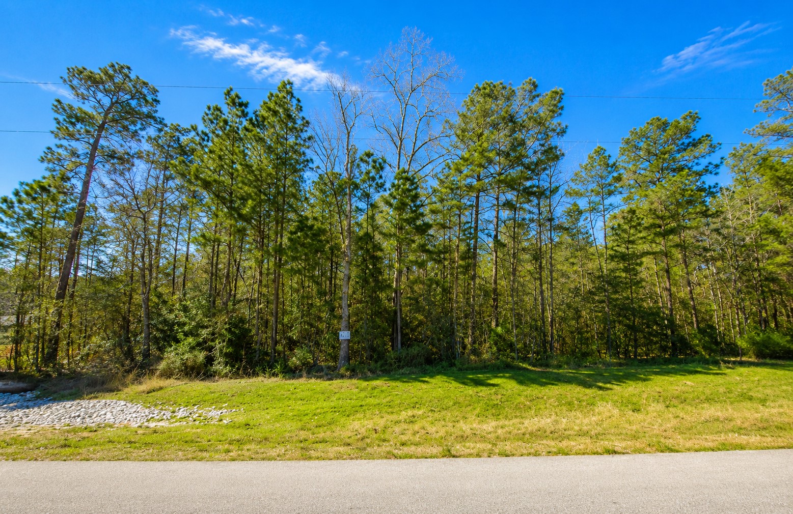10-29-6 Lonestar Road Huntsville, TX 77340 - Photo 4 of 16 Gallery Image 4