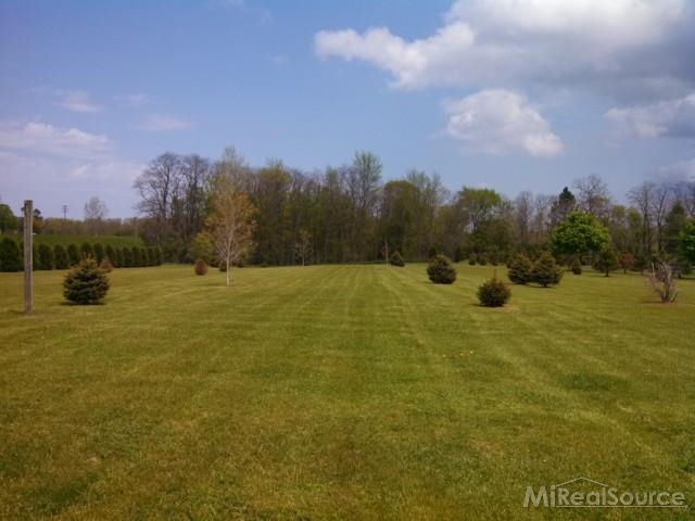 4875 Mill Creek Road Avoca, MI 48006 - Photo 26 of 30 This is a view of the front yard.