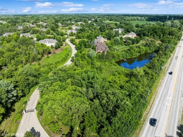 a view of a lush green field with lots of plants in it