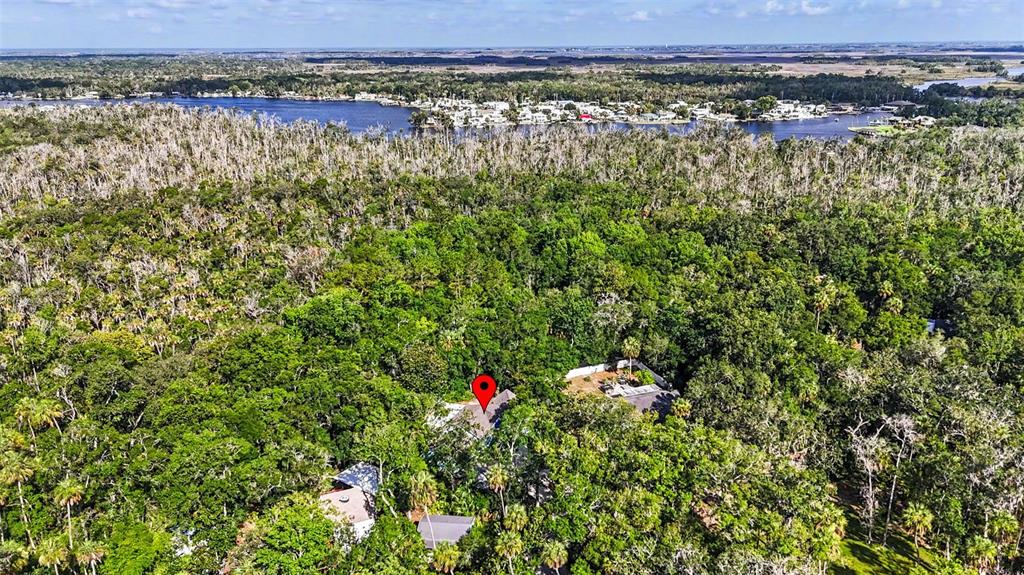 4586 Flambeau Loop Homosassa, FL 34448 - Photo 63 of 80