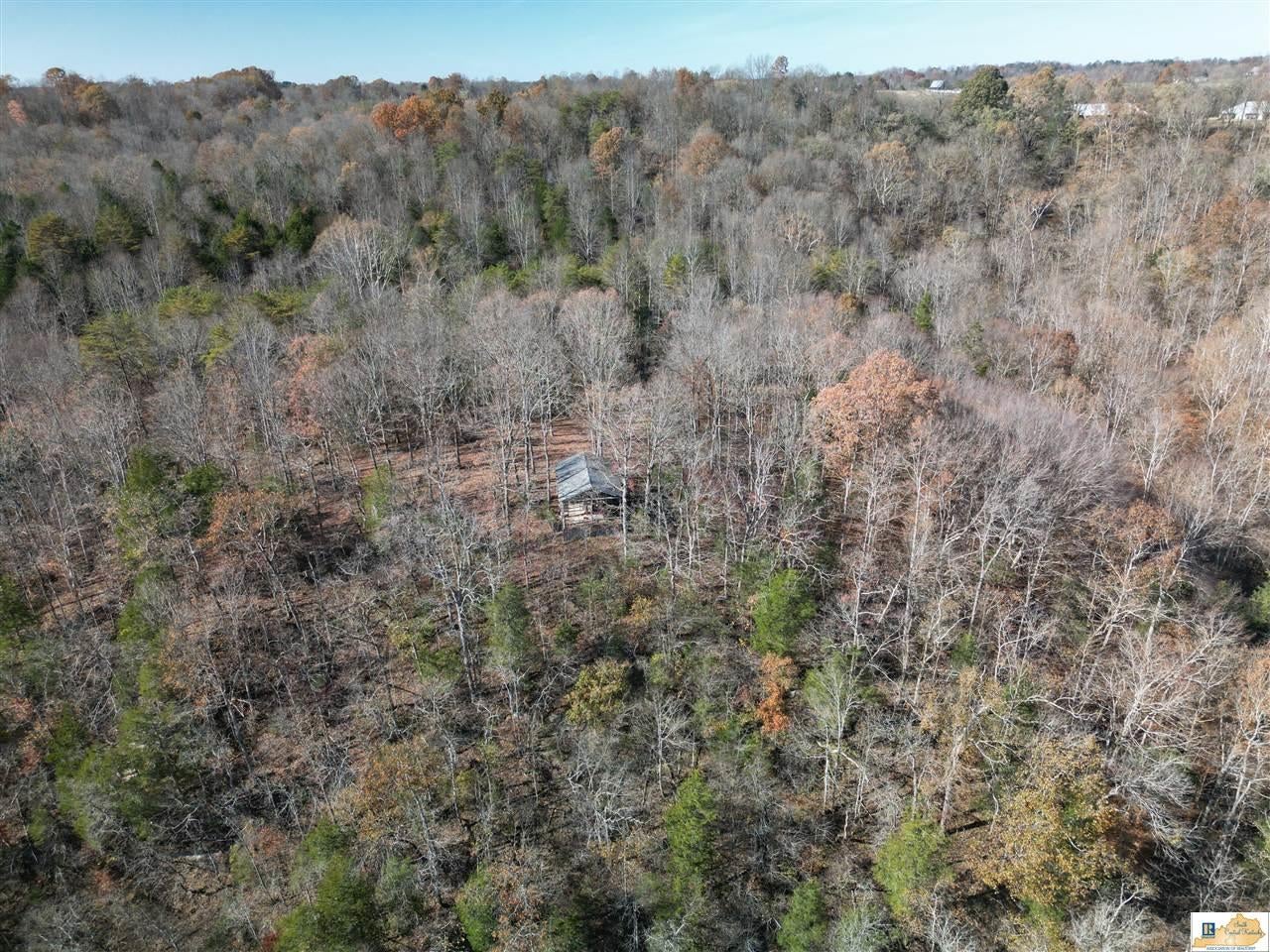 251 Crocus View Road Glens Fork, KY 42741 - Photo 14 of 54 Gallery Image 14