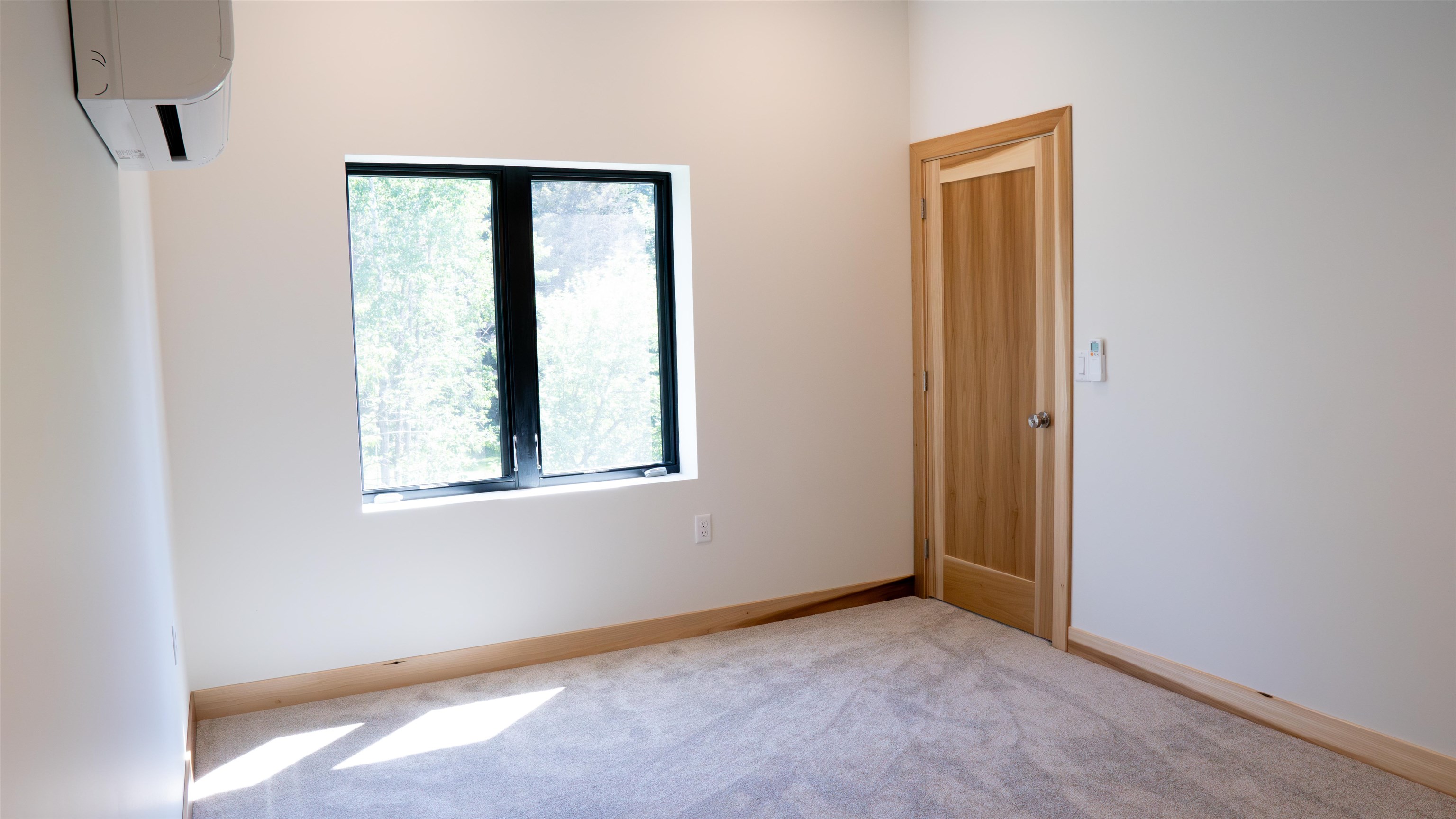 23190 Sawgrass Road Cornucopia, WI 54827 - Photo 19 of 23 Spare room with plenty of natural light, a wall mounted AC, and carpet flooring