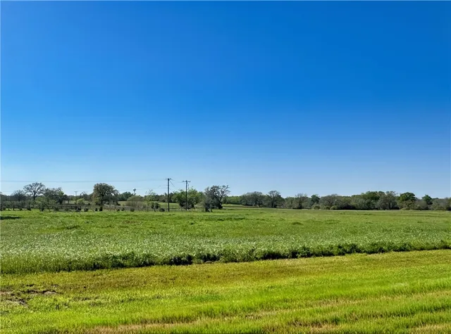 a view of a grassy field with trees
