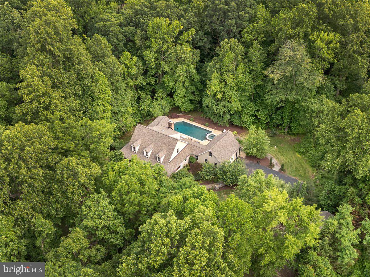 7847 Flint Hill Road Owings, MD 20736 - Photo 6 of 95 Privacy all around
