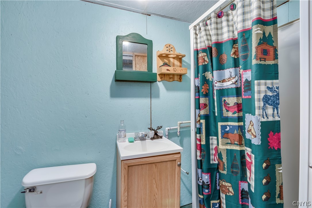 7742 Schuyler Cp Road Watson, NY 13343 - Photo 14 of 21