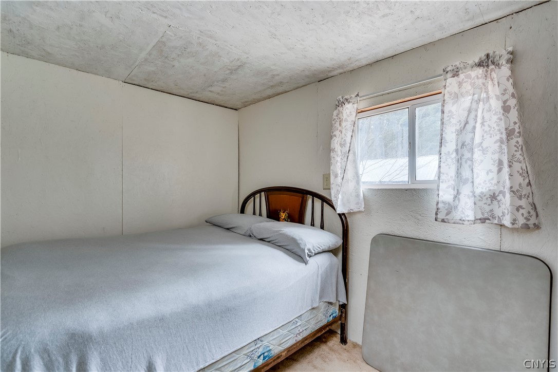 7742 Schuyler Cp Road Watson, NY 13343 - Photo 21 of 21