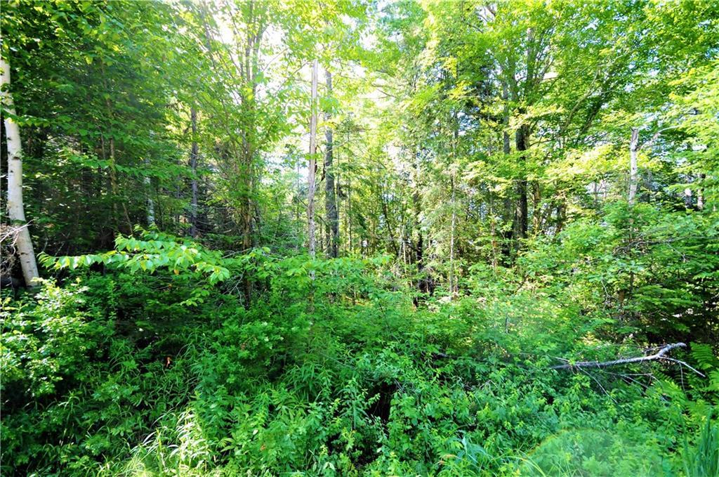 Lot 80 Grandview Road Ellsworth, ME 04605 - Photo 3 of 3 Photo