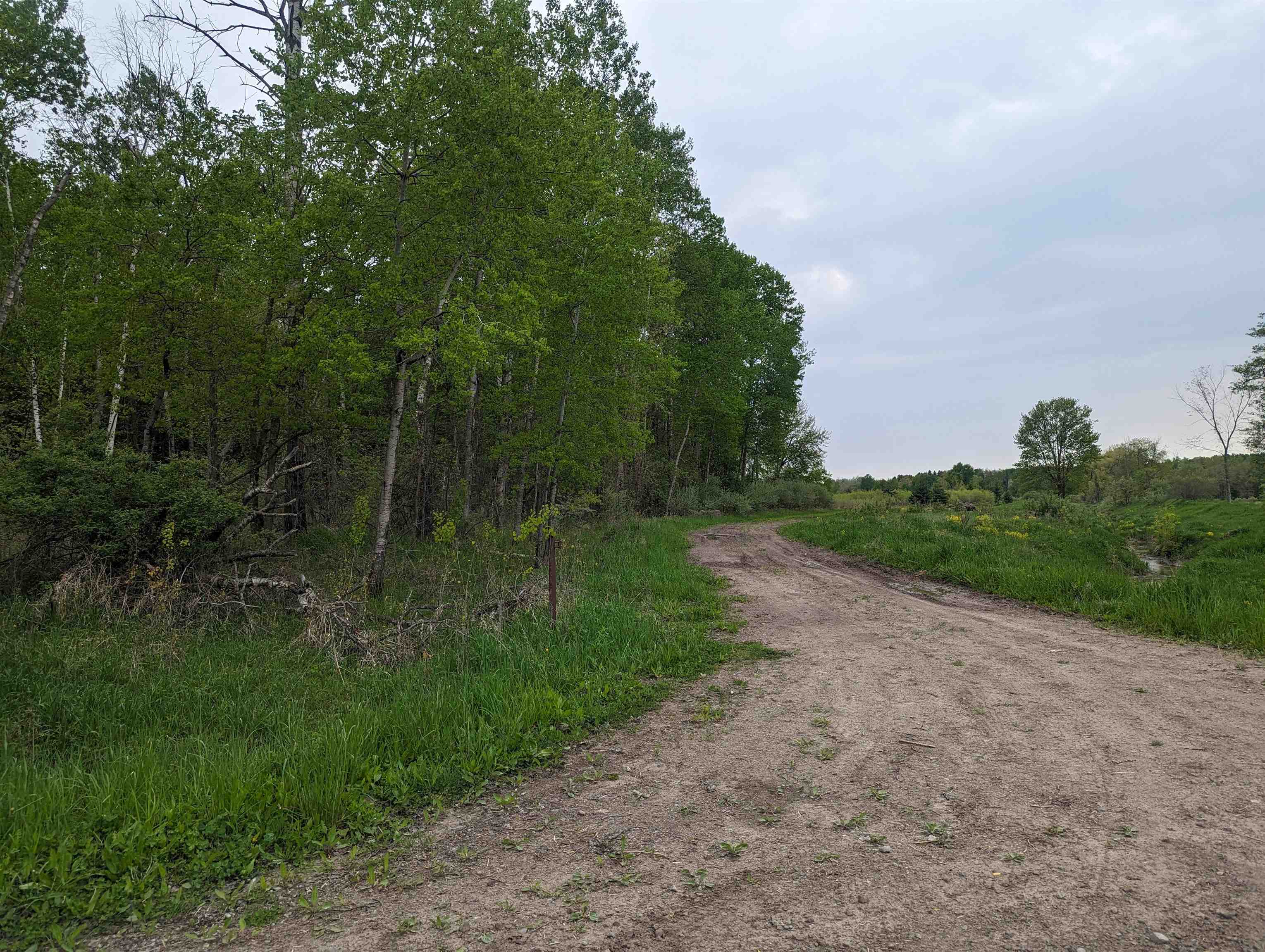 N/a North Lentner Road Turner, MI 48765 - Photo 7 of 10