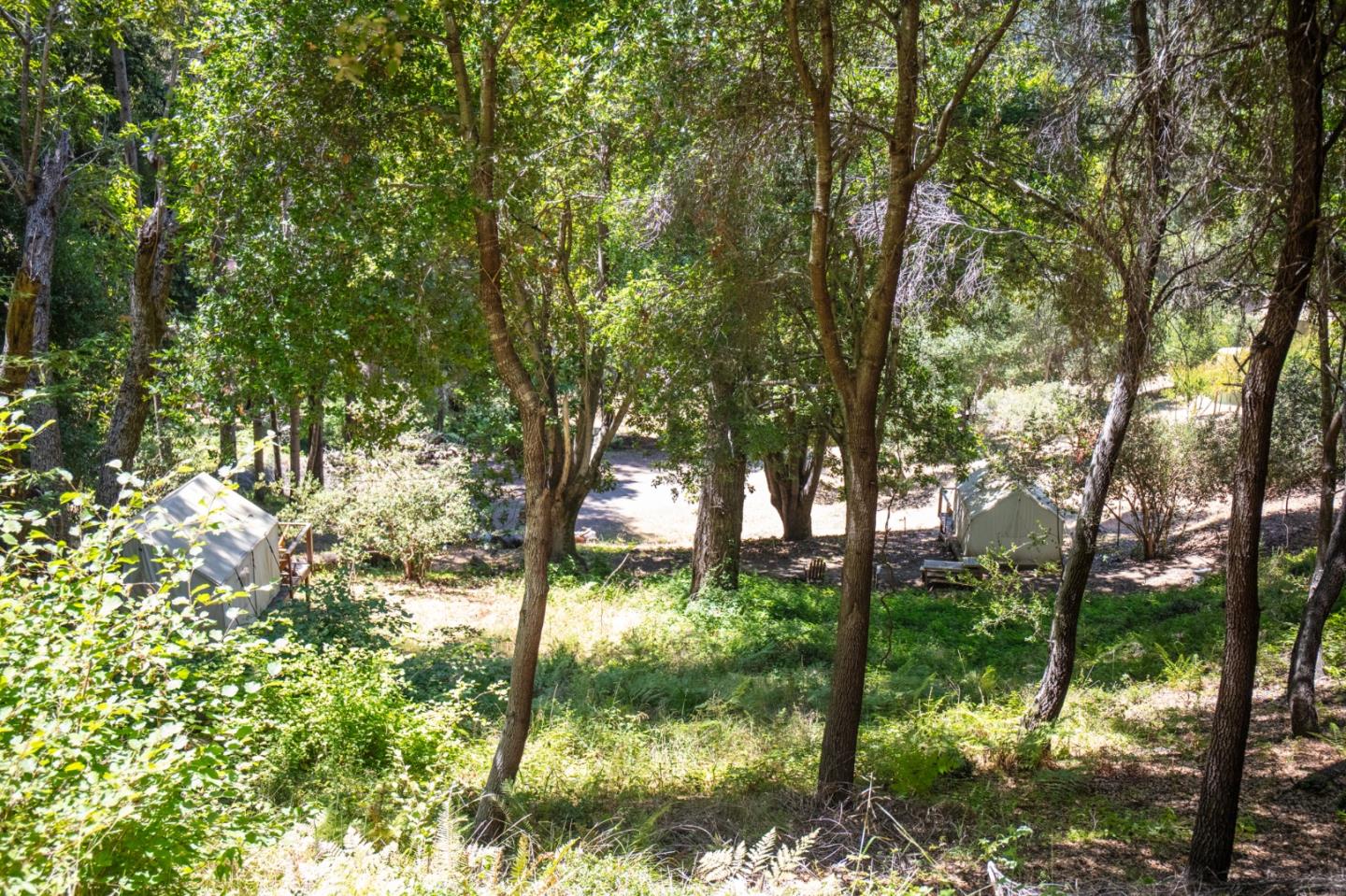 1003 Laurel Glen Road Soquel, CA 95073 - Photo 76 of 101 a backyard of a house with lots of green space
