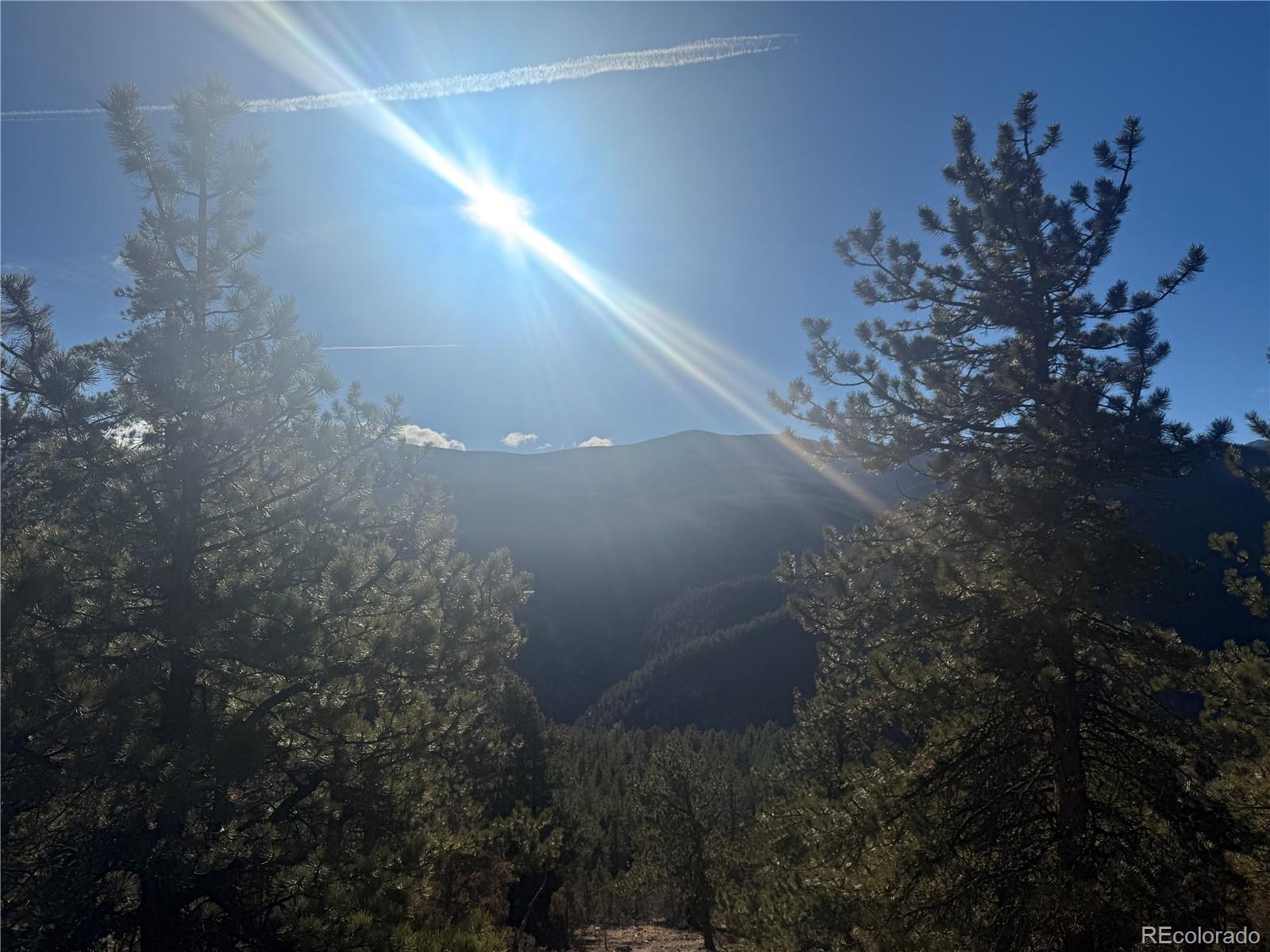 0 Alps Mountain Road Idaho Springs, CO 80452 - Photo 12 of 19 a view of a yard