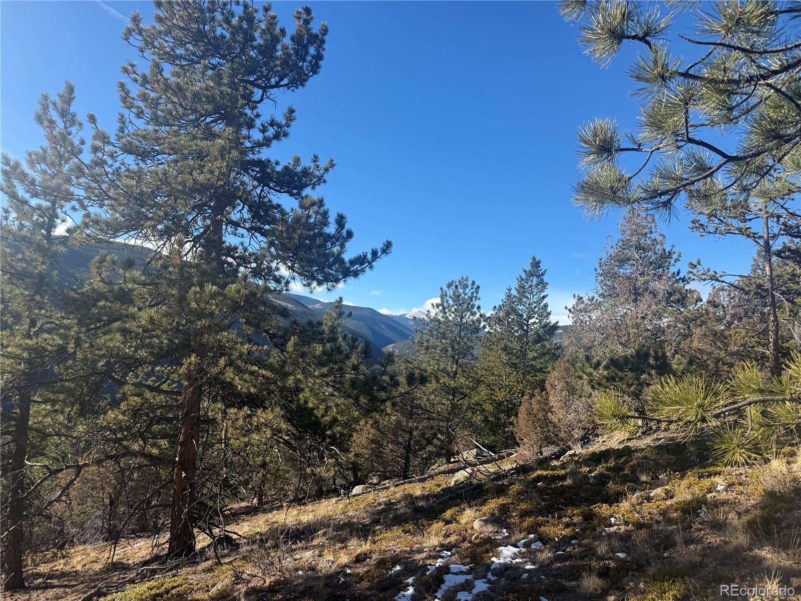 0 Alps Mountain Road Idaho Springs, CO 80452 - Photo 13 of 19
