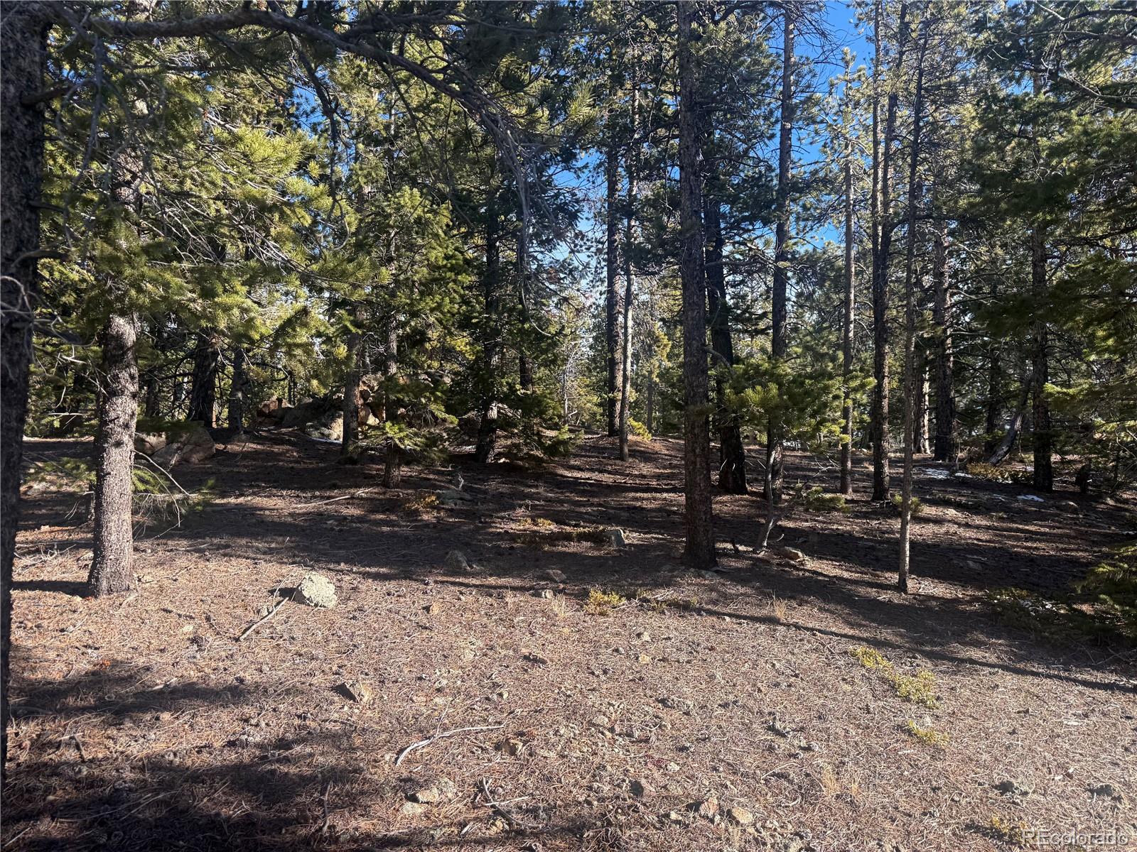 0 Alps Mountain Road Idaho Springs, CO 80452 - Photo 17 of 19 a view of a park that has large trees