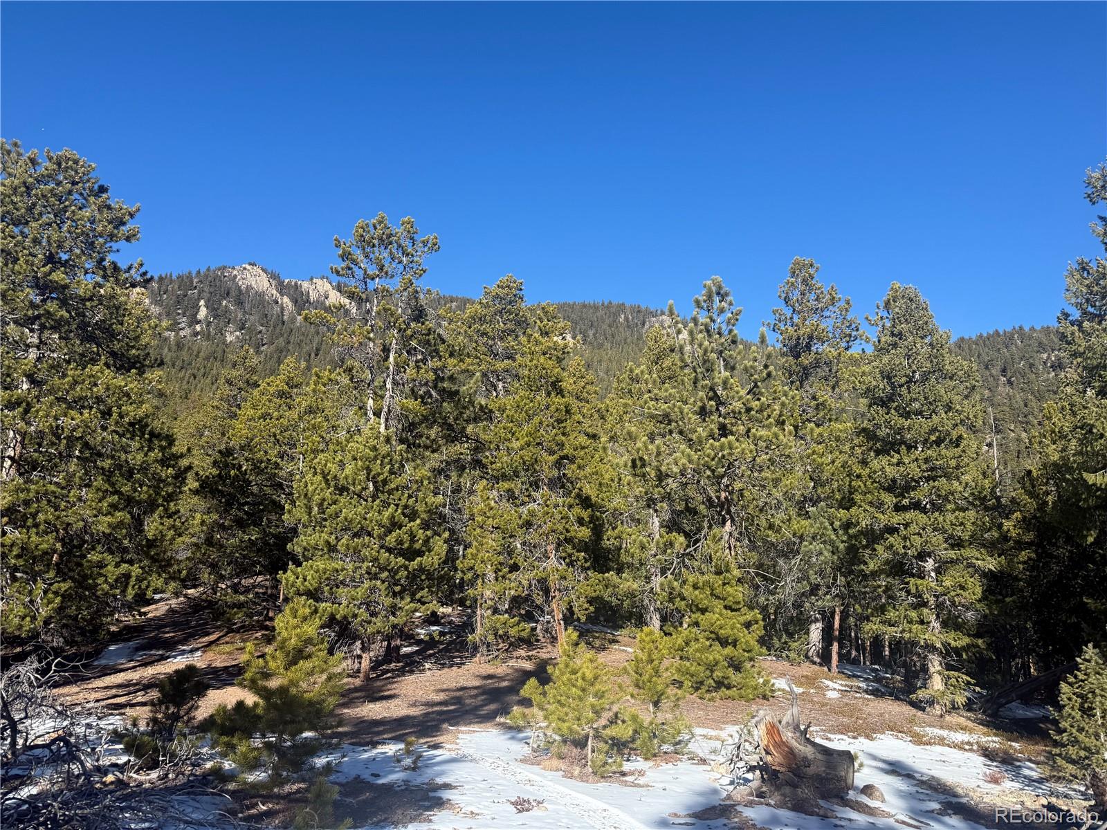 0 Alps Mountain Road Idaho Springs, CO 80452 - Photo 2 of 19 a view of a bunch of trees