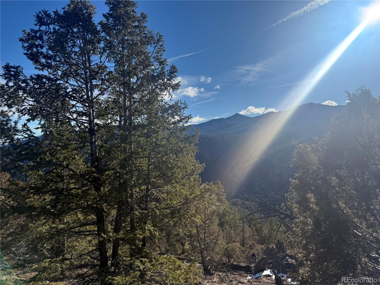 0 Alps Mountain Road Idaho Springs, CO 80452 - Photo 8 of 19 a view of a yard